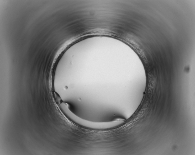 X0000097901188200804111036