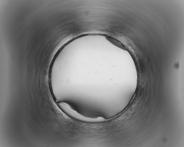 X0000097901189200804111036