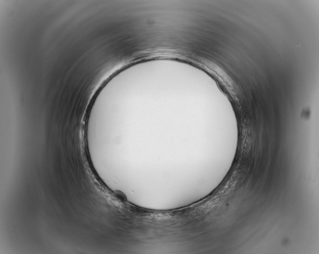 X0000097901190200804111036