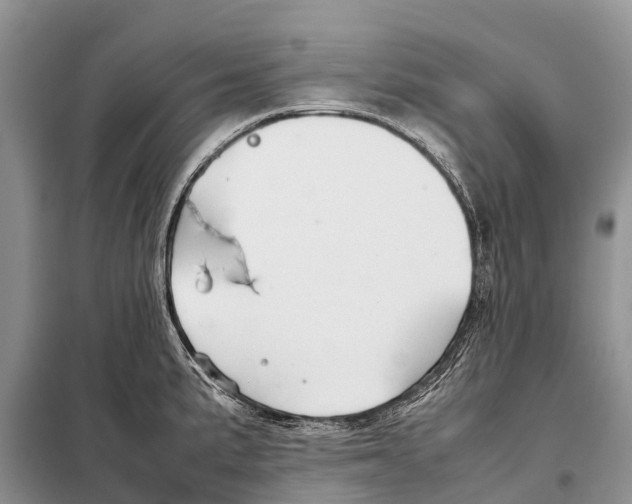 X0000097901191200804111036