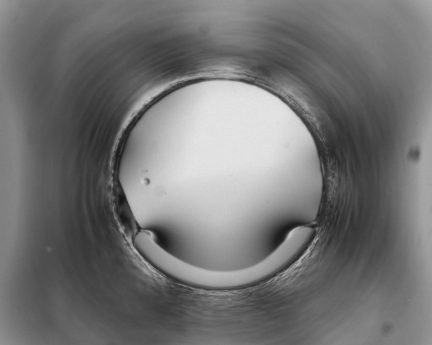 X0000097901192200804111036