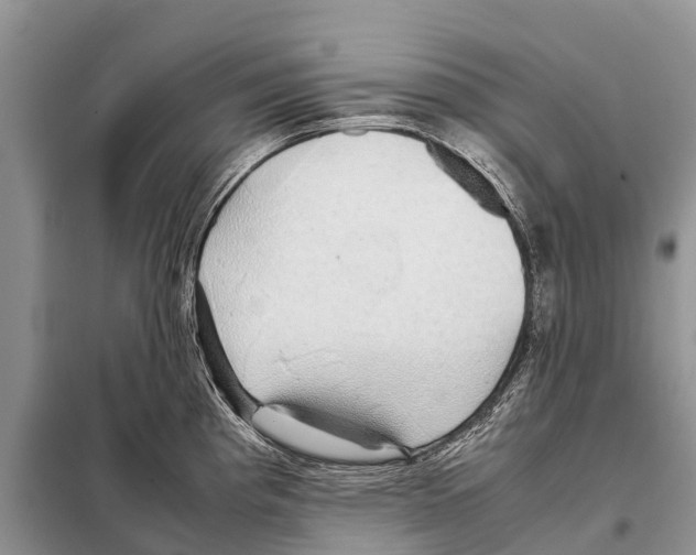 X0000097901193200804111036