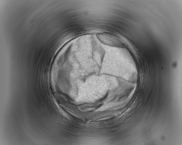 X0000097901194200804111036