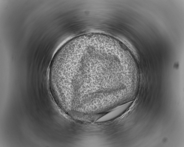 X0000097901198200804111036