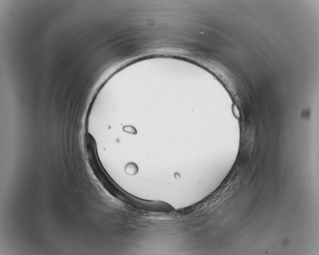 X0000097901199200804111036