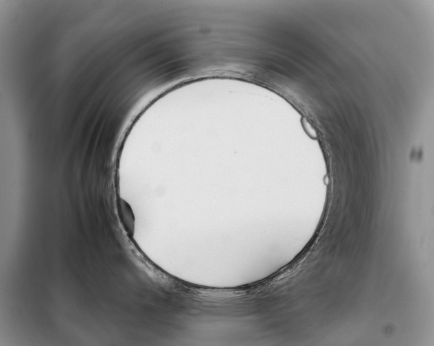 X0000097901200200804111036