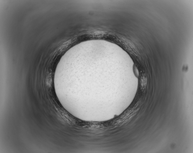 X0000097901204200804111035