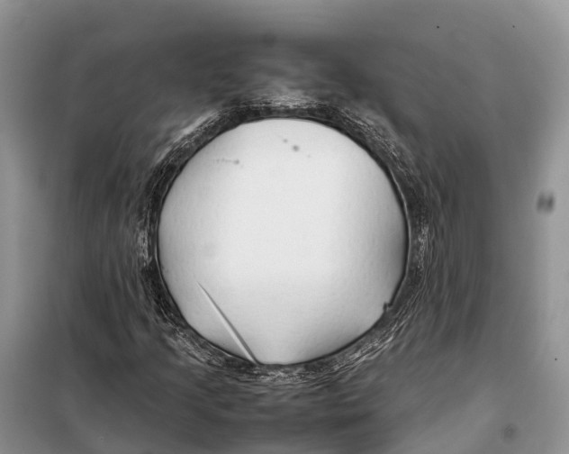 X0000097901205200804111035