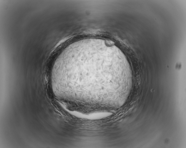 X0000097901206200804111035