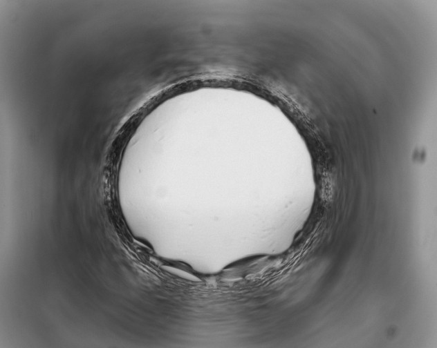 X0000097901208200804111035