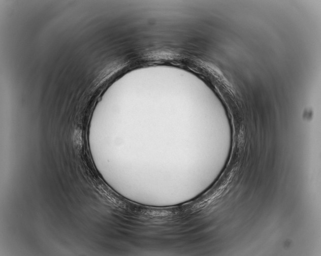 X0000097901209200804111035