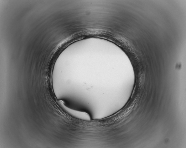 X0000097901210200804111035