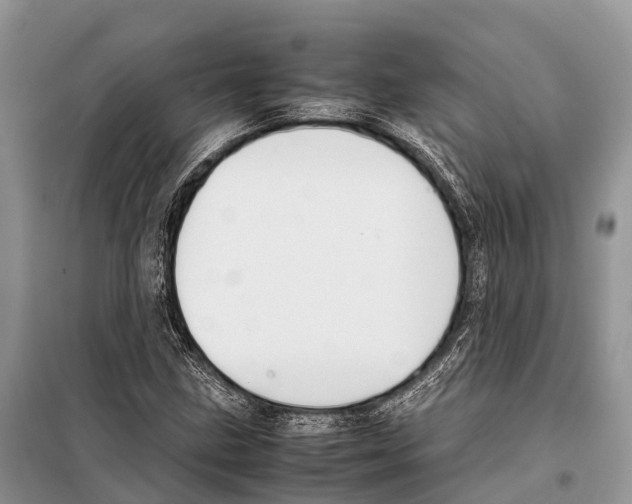 X0000097901211200804111035