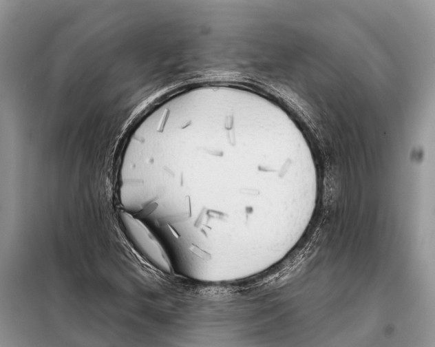 X0000097901212200804111035