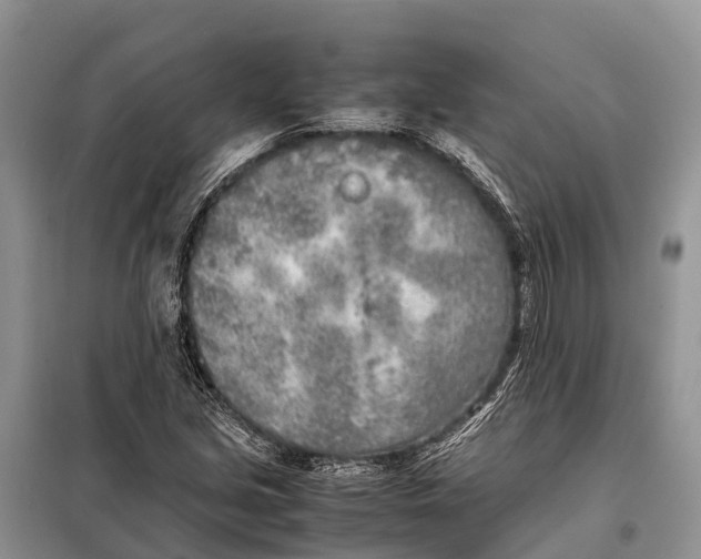 X0000097901213200804111035