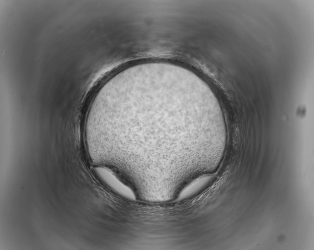 X0000097901214200804111035