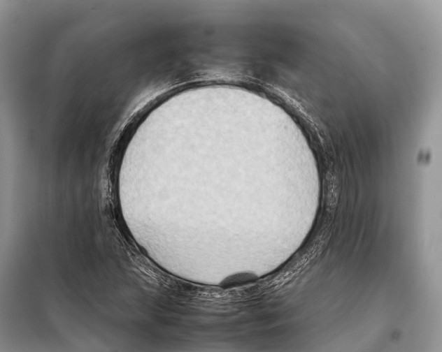 X0000097901215200804111035