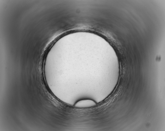 X0000097901216200804111035