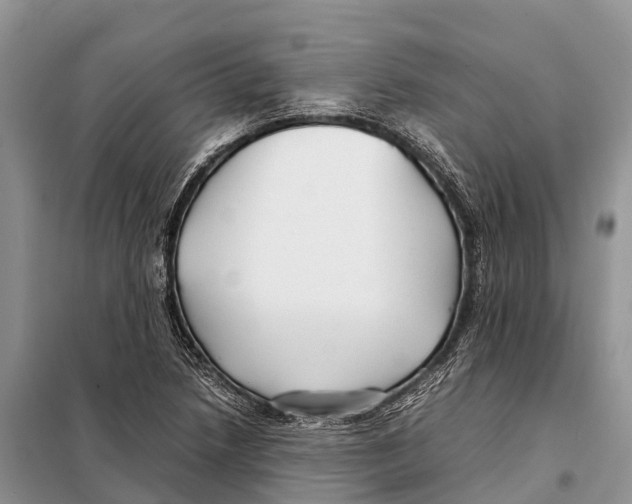 X0000097901218200804111035