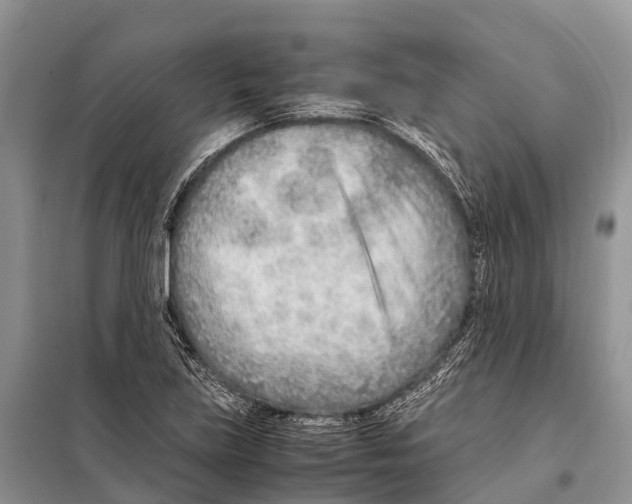 X0000097901219200804111035