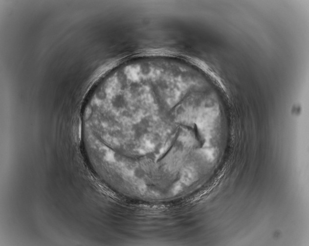 X0000097901221200804111035