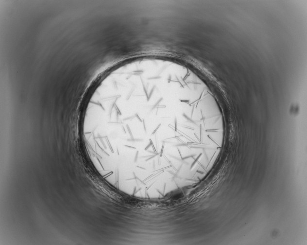 X0000097901222200804111035