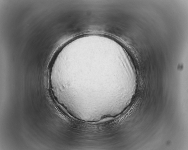 X0000097901223200804111035