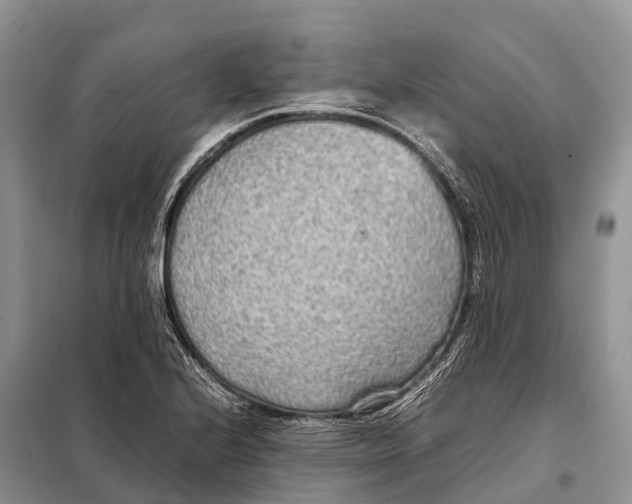 X0000097901224200804111035