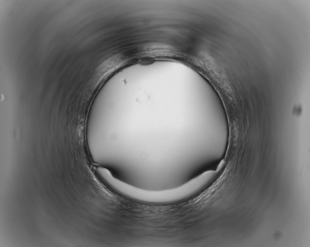 X0000097901225200804111035