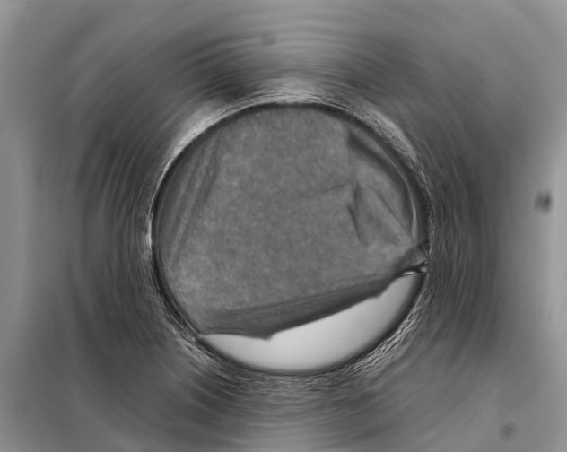 X0000097901226200804111035