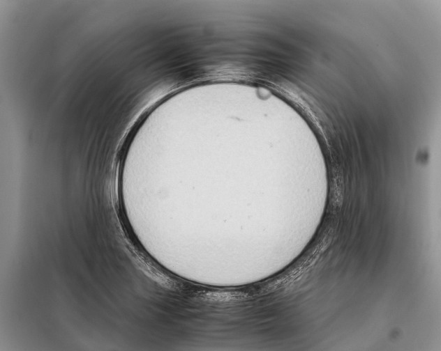 X0000097901227200804111035