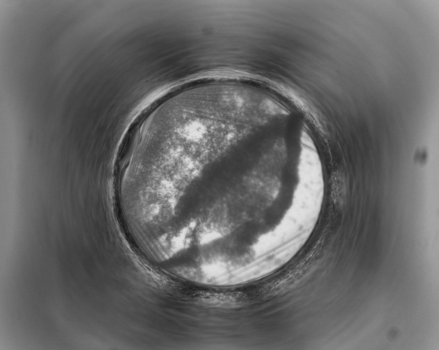 X0000097901229200804111035