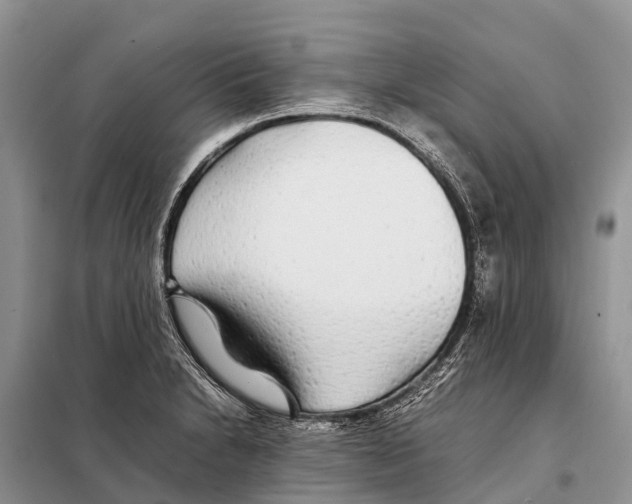 X0000097901230200804111035