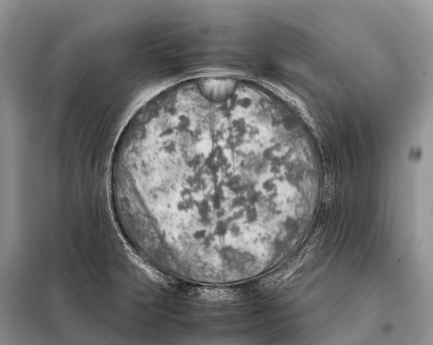 X0000097901231200804111035