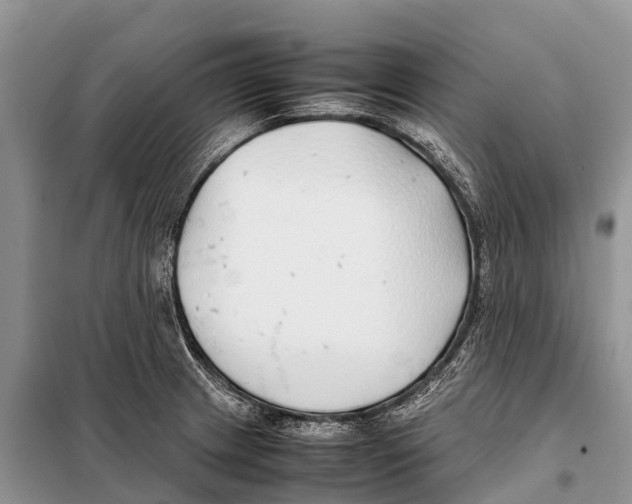 X0000097901233200804111036