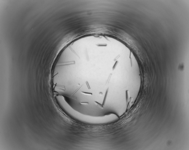 X0000097901234200804111036
