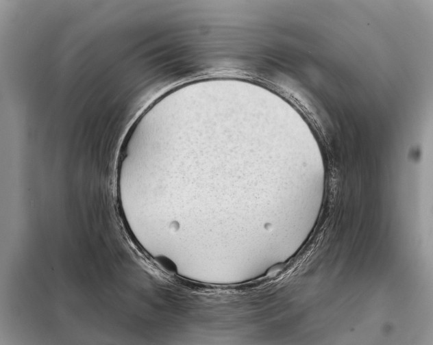 X0000097901236200804111036