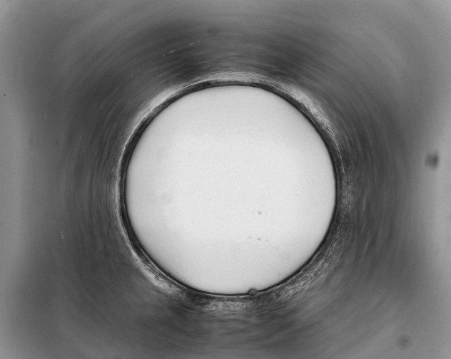 X0000097901237200804111036