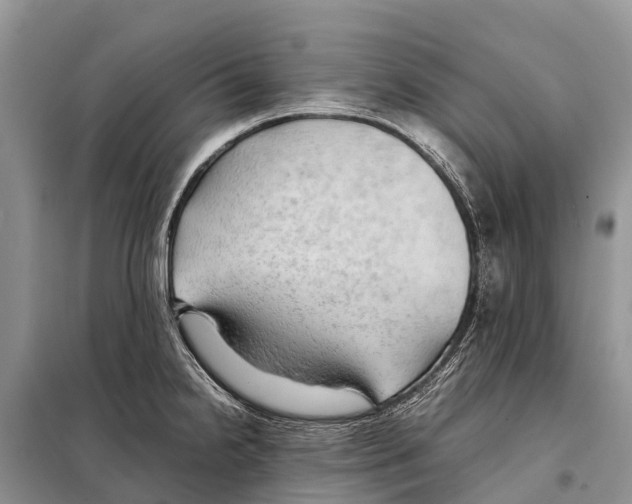 X0000097901238200804111036