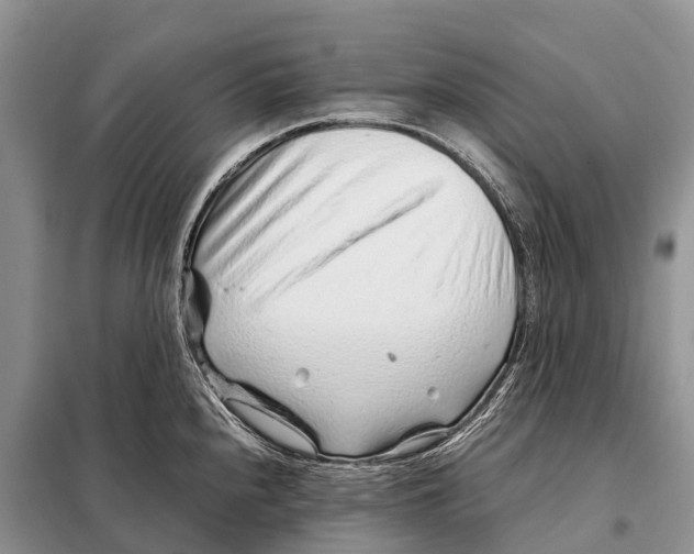 X0000097901240200804111036