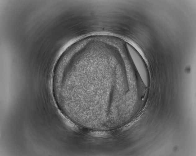 X0000097901245200804111036