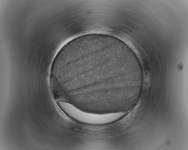 X0000097901246200804111036