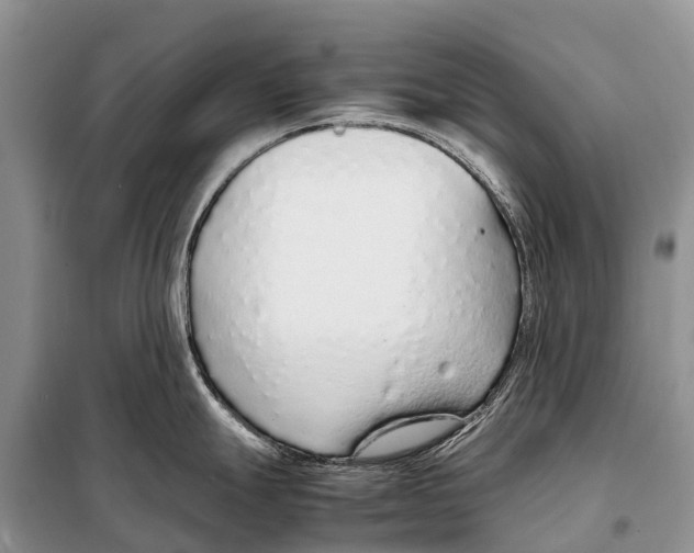 X0000097901247200804111036