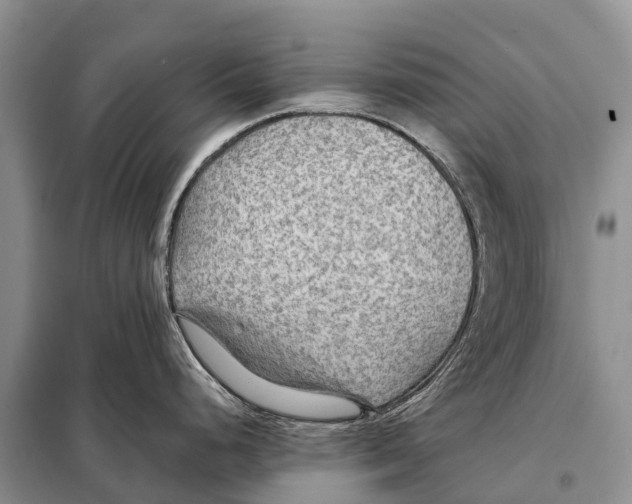 X0000097901248200804111036