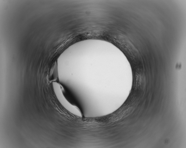 X0000097901250200804111035