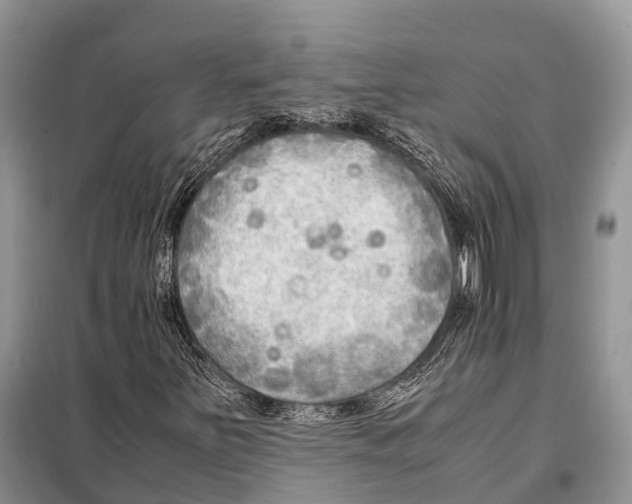 X0000097901251200804111035