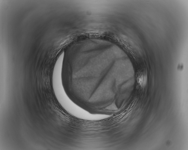 X0000097901252200804111035