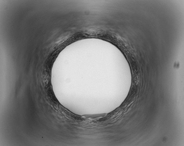 X0000097901253200804111035