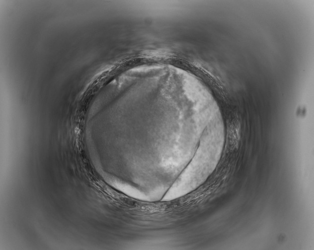 X0000097901254200804111035