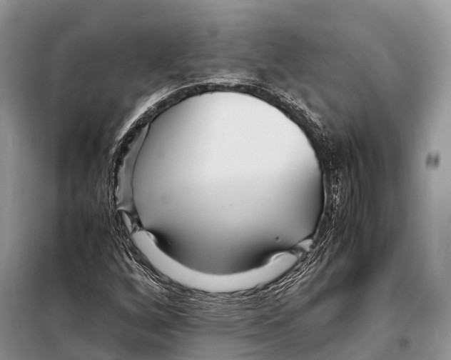 X0000097901256200804111035